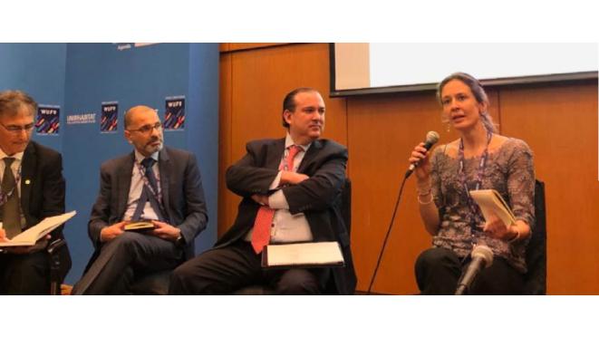 UHPH present at the World Urban Forum 9